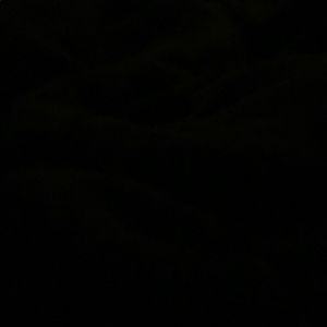 Meet your Posher, Dylan